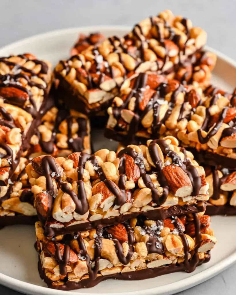 Dark Chocolate Sea Salt Nut Bars